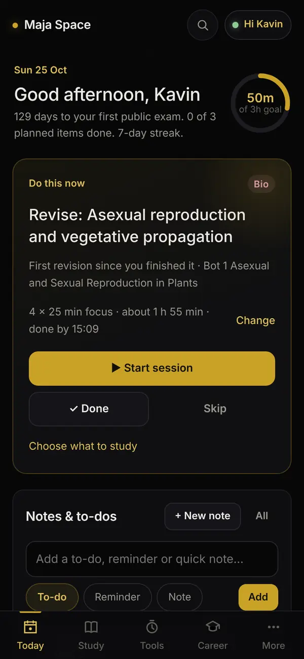 Maja Space on a phone: the plan for today, with what to study now and the daily goal